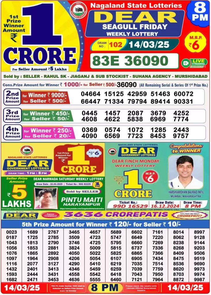 Lottery Sambad 8 PM Result Today PDF Download